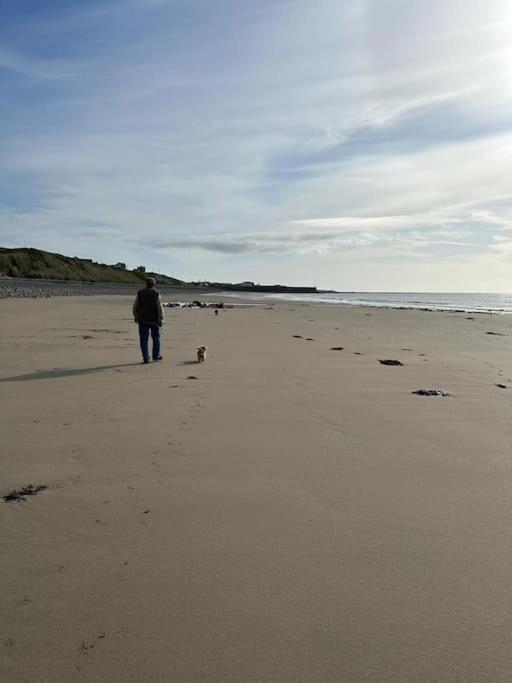 The Mustard Seed Villa Kilkeel Esterno foto